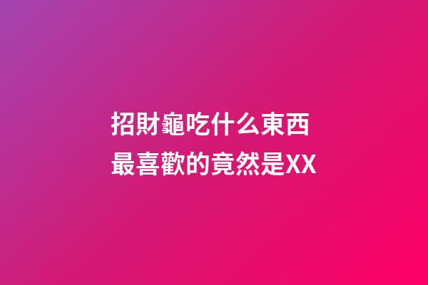 招財龜吃什么東西 最喜歡的竟然是XX